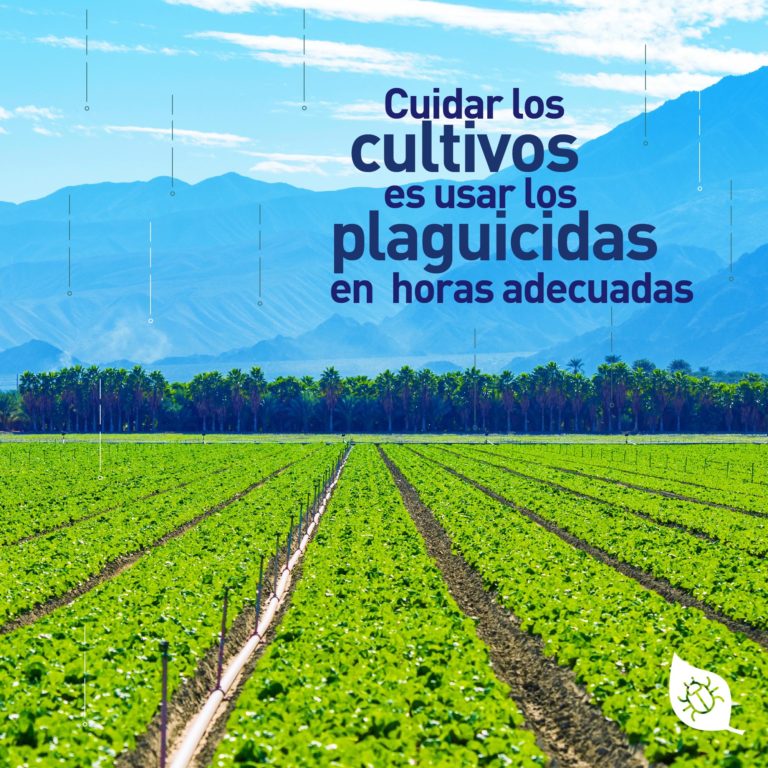 La protección de cultivos en la historia