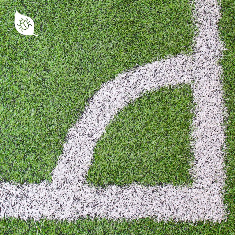 Fútbol, césped y plagas