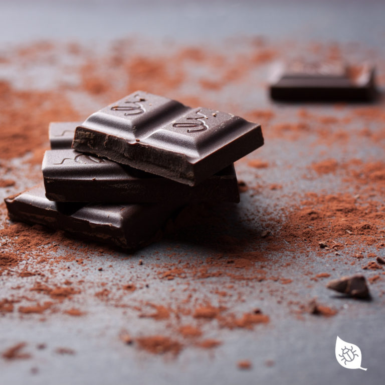 Las plagas amantes del cacao