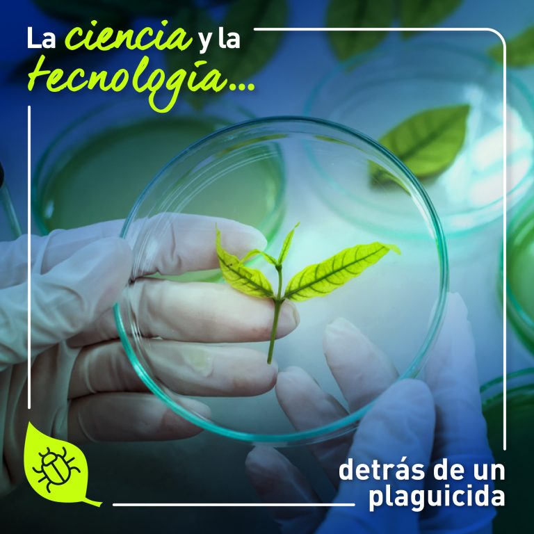 Investigación y desarrollo
