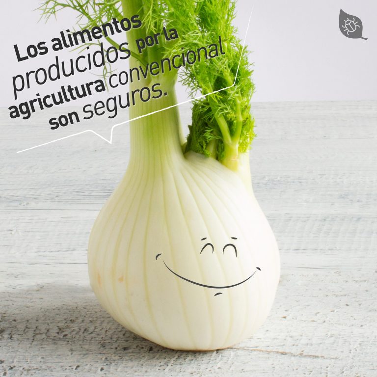 Plaguicidas en nuestra vida