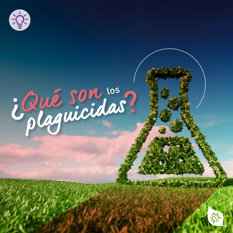 ¿Qué son los plaguicidas?