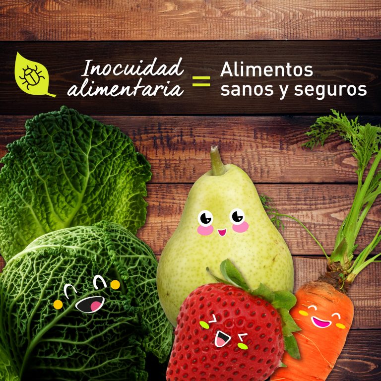 Inocuidad alimentaria, derecho y deber