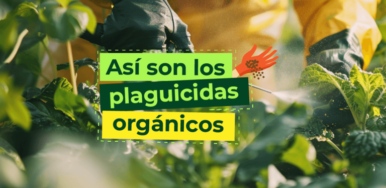 Así son los plaguicidas orgánicos