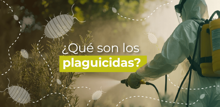 ¿Qué son los plaguicidas?