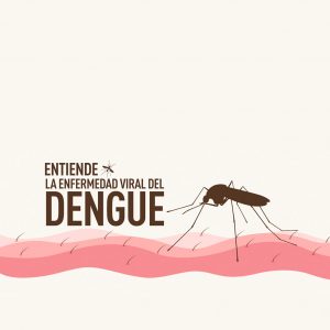 Dengue aedes aegypti