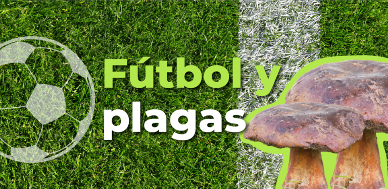 Fútbol, césped y plagas