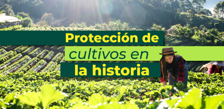 La protección de cultivos en la historia