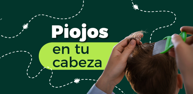 Piojos en tu cabeza
