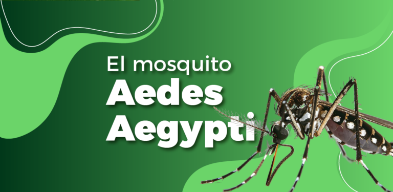 Dengue, otra pandemia en crecimiento