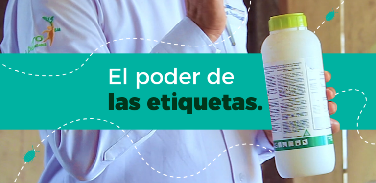 El poder de las etiquetas