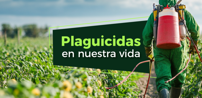 Plaguicidas en nuestra vida