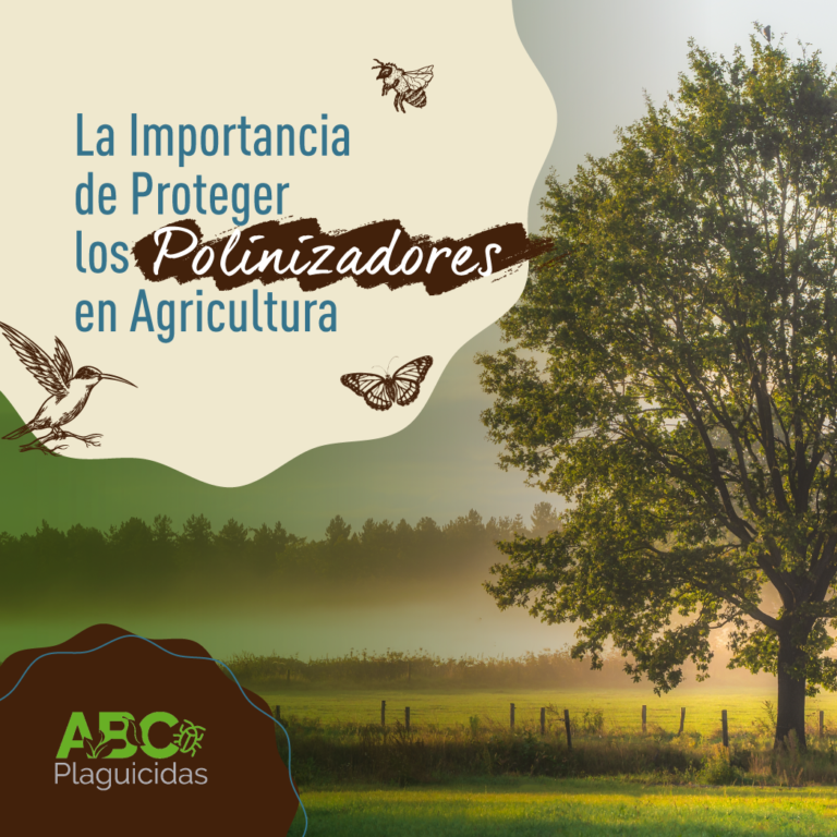 La importancia de proteger los polinizadores en agricultura