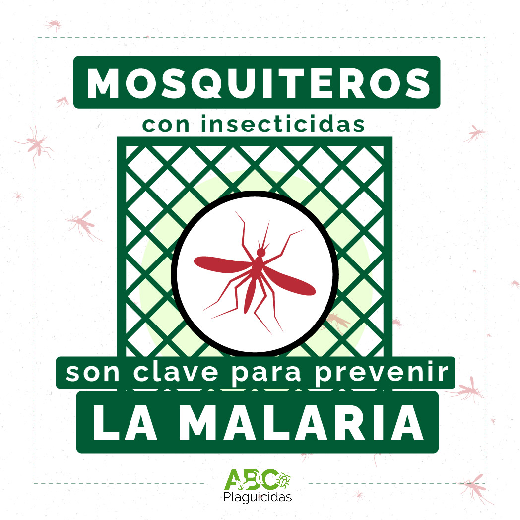 Mosquiteros con insecticidas son clave para prevenir la malaria